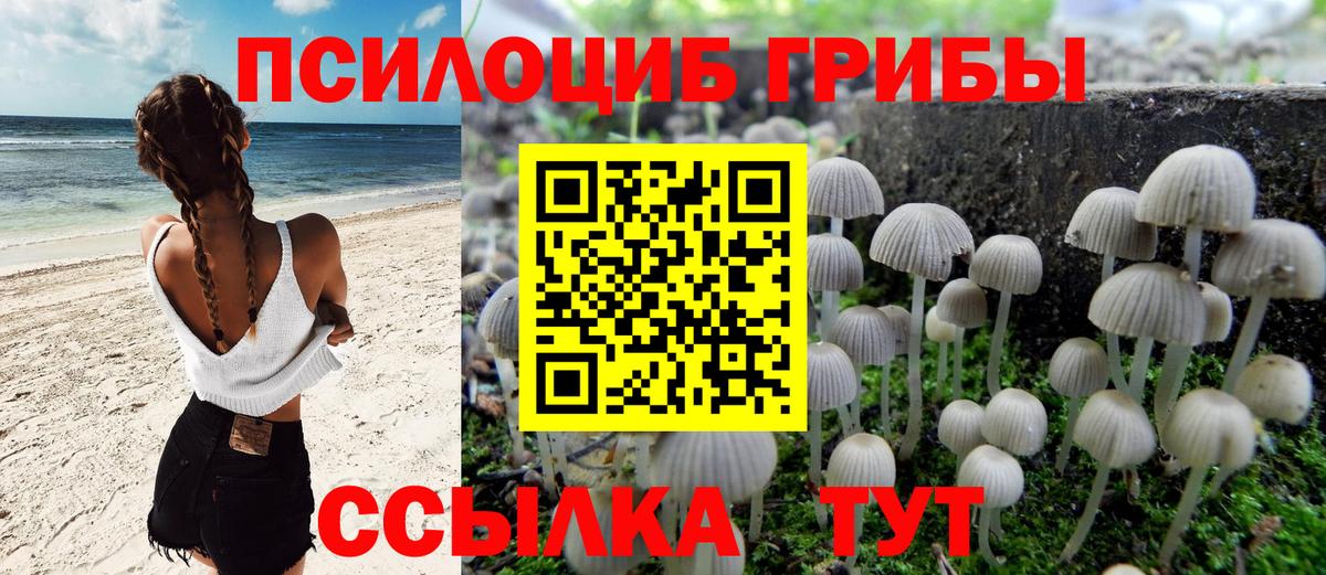 Галлюциногенные грибы мицелий  наркотики  Псилоцибиновые грибы MAGIC MUSHROOMS  Камышлов  Вход с VPN 